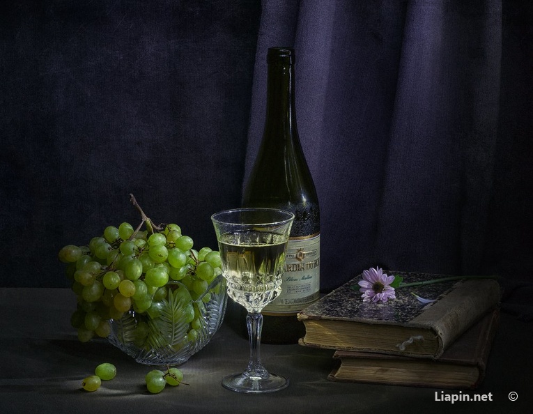 Вино и виноград №3