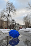 В старом парке тает снег... или путешествия синего зонта...